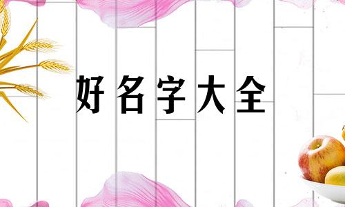 篮球博主如何起名字的视频