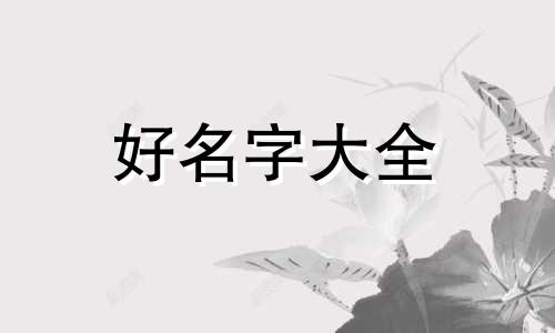 如何给潮服品牌起名字大全