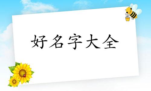 六角龙如何起名好听的名字