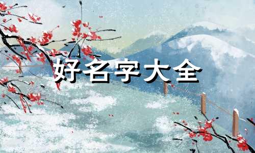 批发商如何起名字好听大气