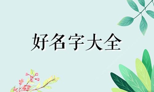 如何起名字不油腻女人网名