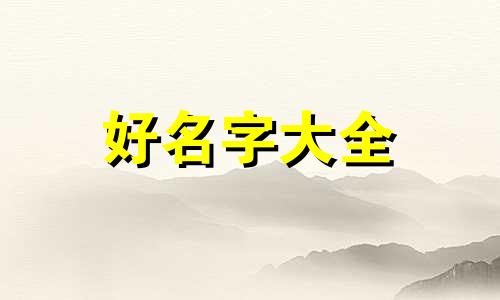 岩板如何起名好听点的名字大全