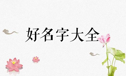 一个组织如何起名好听的名字