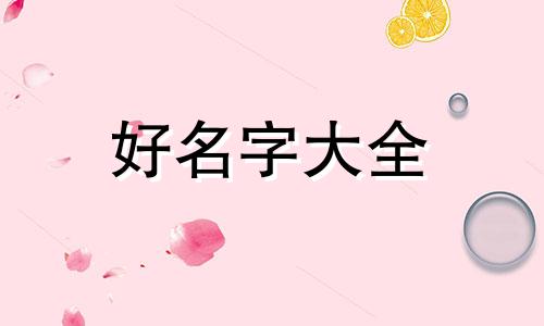 小仓鼠男生如何起名字好听