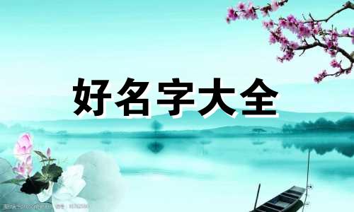 应该如何开零食店起名大全