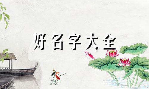 卖羊肉如何起名子好听一点