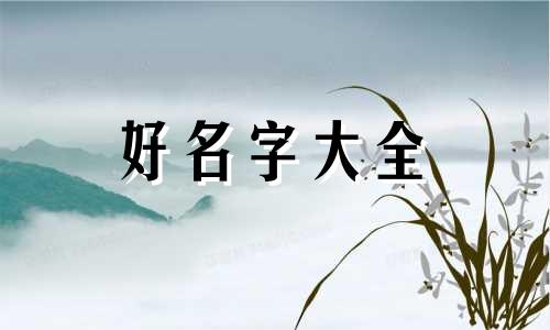 如何给丝绸品牌起名字好听