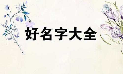 宜家小人如何起名字的视频