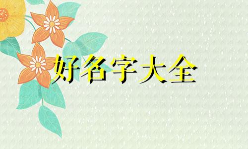 心血管专业网站如何起名字