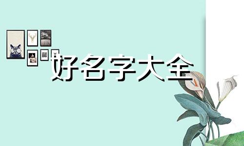 如何给包包起名字大全女