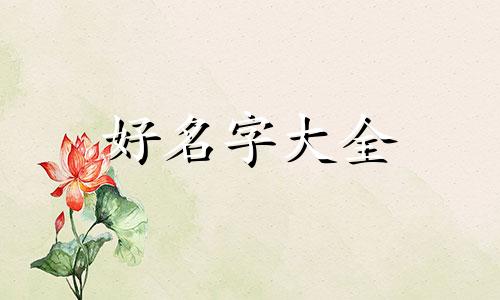 独立设计师如何起名字大全