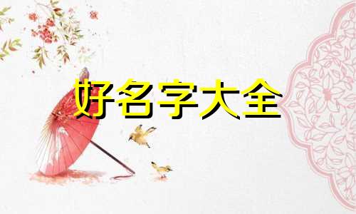 宠物用品如何起名字的图片