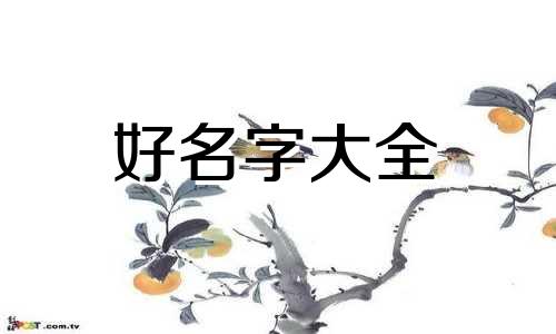 双胞胎男性如何起名字好