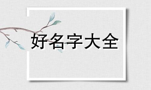 如何给一条黑狗起名子呢