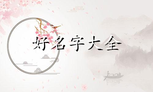 美短猫如何起名字好听女