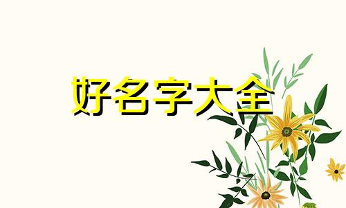 属龙如何起名字和姓氏好