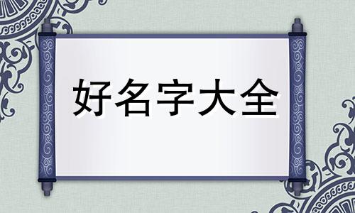 如何带数字给狗狗起名字好呢
