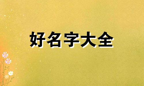 视频号教育类如何起名字