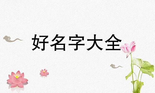 滋补品博主如何起名字