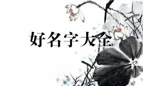 姓王朝字辈如何起名字男