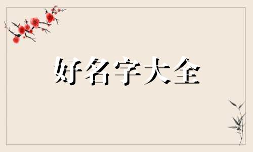 姓氏为贺该如何起名字男孩