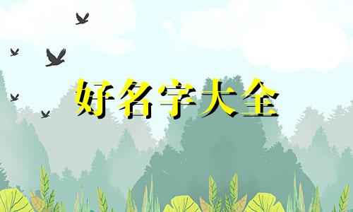 姓肖开饭店如何起名字好听