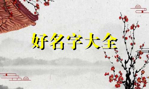 挑战杯项目如何起名称的