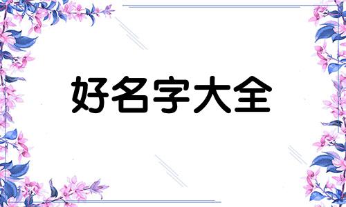 婉儿玩家如何起名字的呢