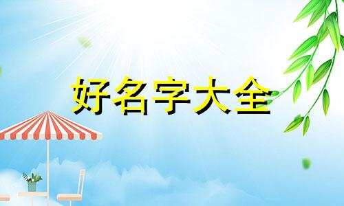 开改车灯店如何起名字呢