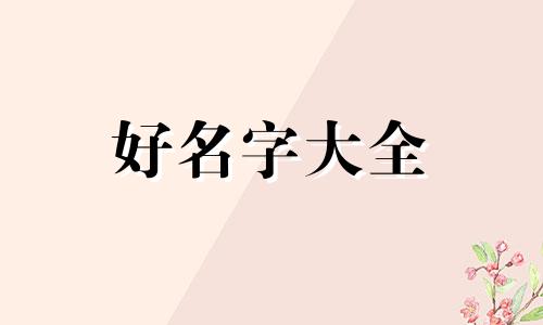 幼儿园区角玩具店如何起名