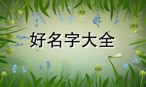 五行缺金缺火如何起名