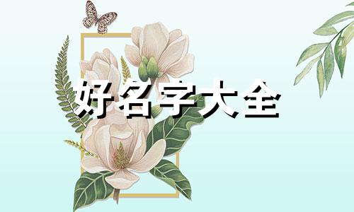 姓何男孩如何起名搞笑一点