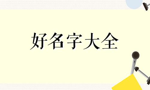 猪肉品牌如何起名称的名字