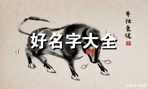 属虎的起名带口如何做