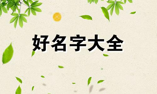 姓氏安如何起名四个字