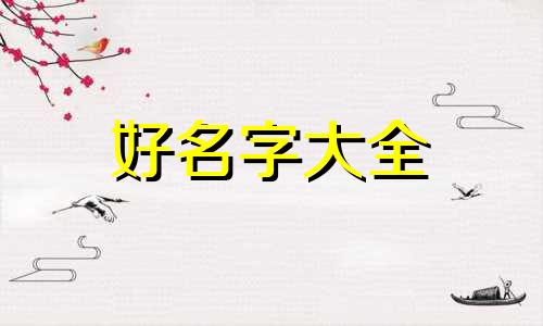 社交账号如何起名称的名字