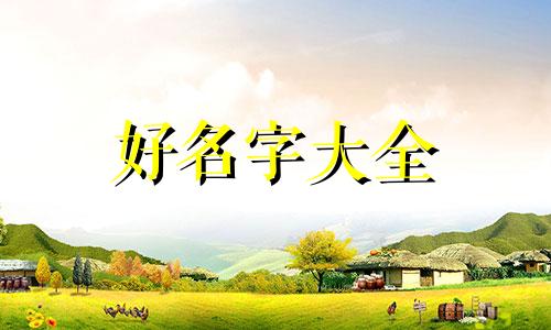 如何给柯基起名字好听女生