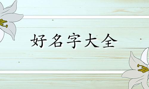 鸭翅鸭爪如何起名的呢英文