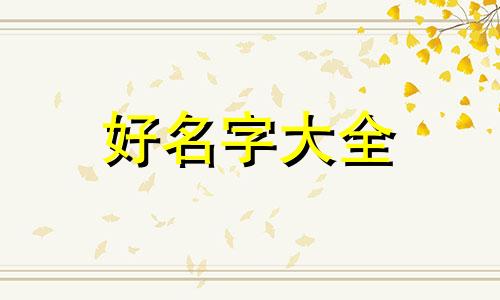 玫瑰花素描如何起名字好看