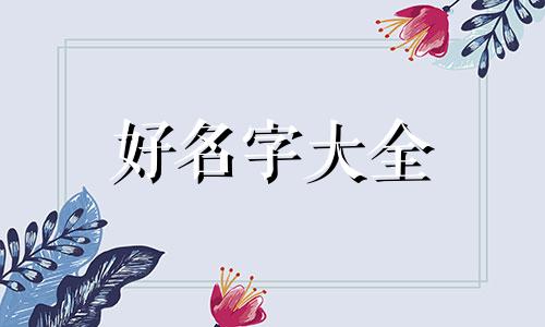 如何给卫浴起名字大全好听