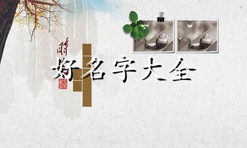 如何给房门起名字好听又简单