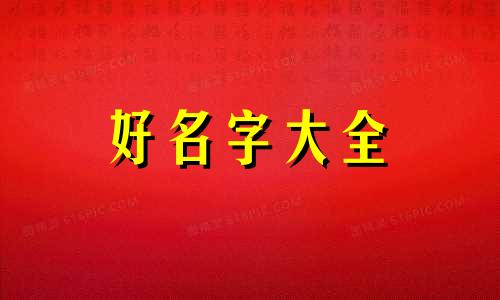 批发店铺如何起名字好听点