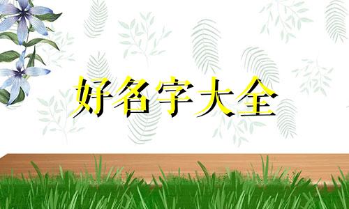 有鸡有鱼如何起名字呢