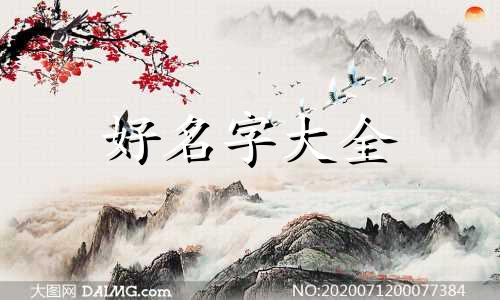 小笼包如何起名字呢好听