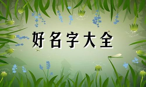 直营店如何起名字好听女