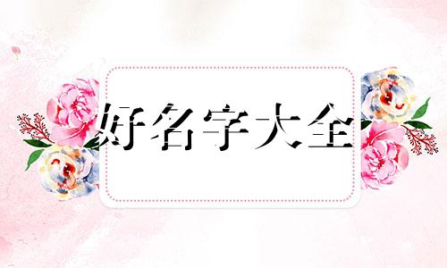 胎梦猫如何给宝宝起名字