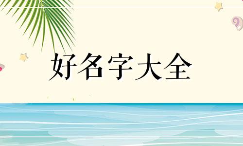 小母猫该如何起名称呢图片