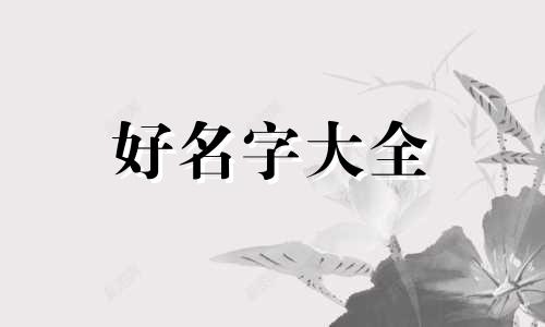 如何给母布偶猫起名字大全