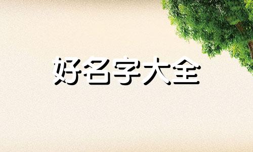 美妆如何起名字好看点的