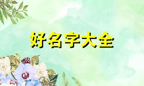 如何正确给猫起名字和口号